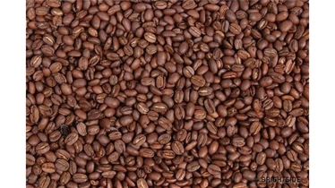 ภาพการทดสอบสายตา ลองดูว่าจะทำได้กี่ข้อ พร้อมแล้วไปทดสอบกัน